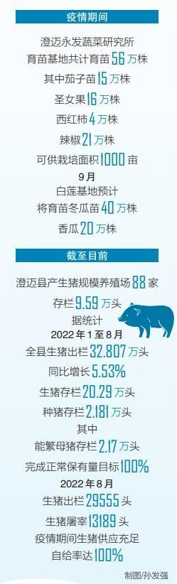 澄迈坚持防疫生产“双向统筹发力”稳住农业基本盘