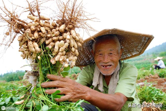 枯草芽孢杆菌用的好，在改良土壤、防治病害、作物增产是个宝