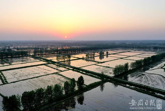 “小龙虾自由”你实现了吗？记者探访全椒小龙虾产业链