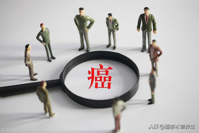 冬虫夏草从挑选、吃法、用量到功效和保存方法的注意事项