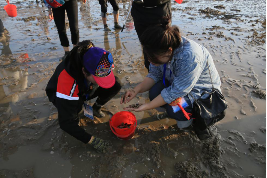 连江牛头山：滨海赶渔 体验牧野渔耕之乐