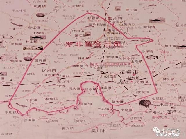 罗非鱼有回暖趋势，2-3年内市场持续走好