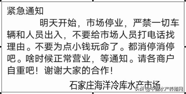 流通受阻鱼价下滑，很多草鱼养殖户卖鱼就血亏，有的人卖鱼难