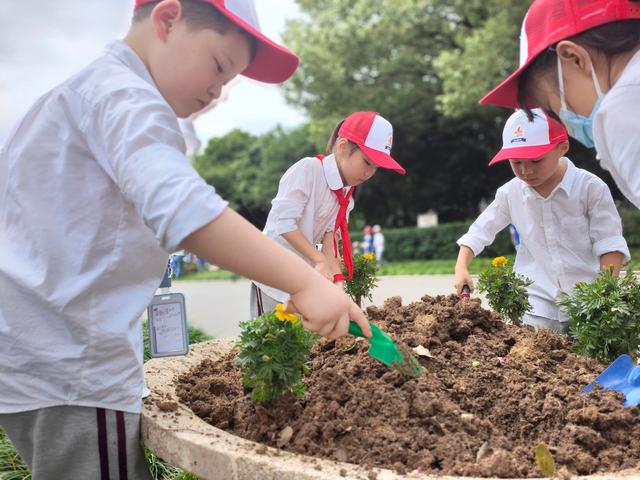 小学生走进公园，亲手种植近百盆植物