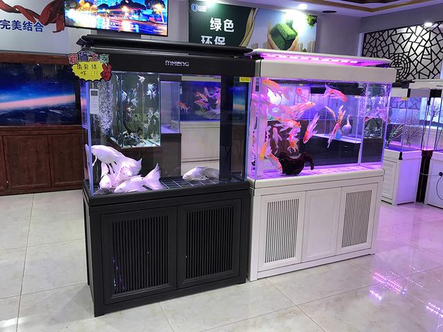 开一个水族店一年到底能赚多少钱 开店十年北京买2套房现实吗