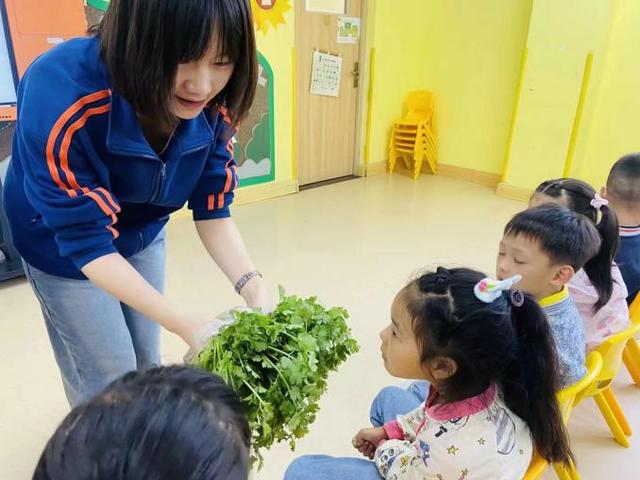 西安市灞桥区狄寨中心幼儿园香菜日记