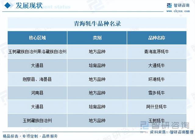 一文浅析2023年中国牦牛养殖现状、优势养殖区域及未来发展前景