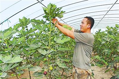 「中国的脱贫智慧」故土亦有沃土