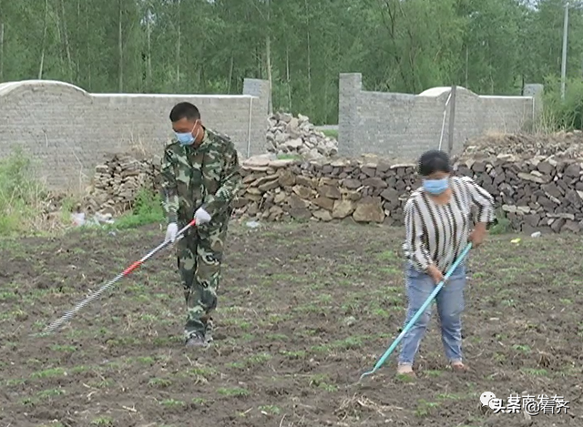 齐齐哈尔市甘南县兴隆乡：种植中草药，开出致富花