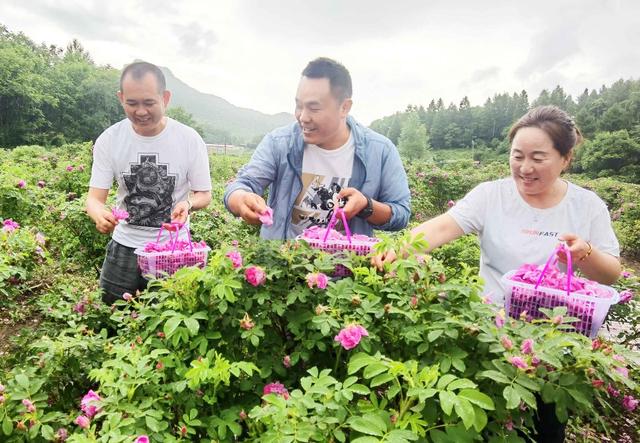 通化市：产业“加码”，乡村“添彩”