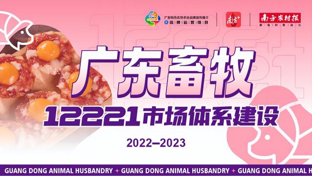 守护健康，广东禽业“十大名补”都有谁？