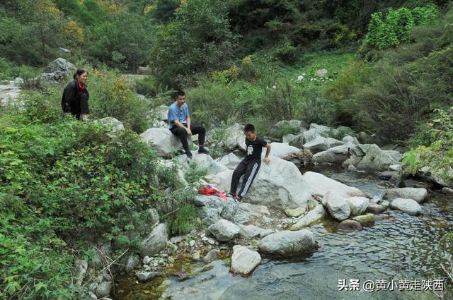 美到心动！遇见秦岭古树下的百年老宅，院内种着“七叶一枝花”