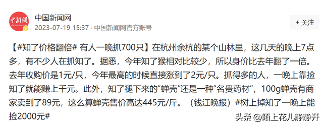 小的时候经常捉的知了猴，现如今身价大涨啊