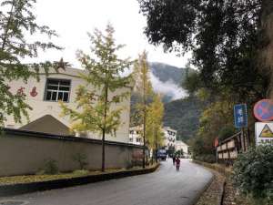 苔藓种植基地(【特写】在浙江丽水，小苔藓如何被做成一门大生意)