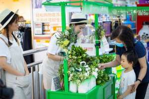 浦口花卉市场种植基地(助力乡村振兴，苏果端午开售南京浦口响堂村栀子花)