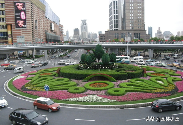 植物景观设计中，“花坛”植物选择、种植要点以及案例欣赏