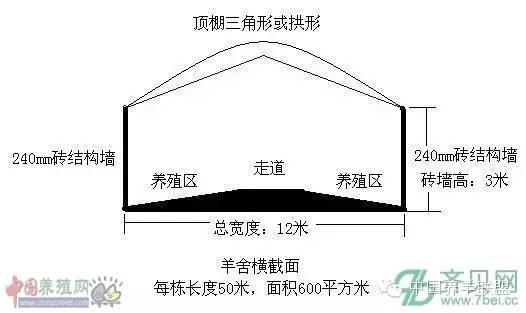 标准化羊舍建设设计图