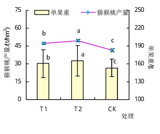 冬天来啦，如何在家盆栽营养又健康的猕猴桃？