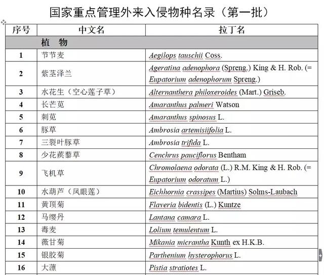 注意这52种危险物种！贵州将开展外来有害入侵生物调查摸底