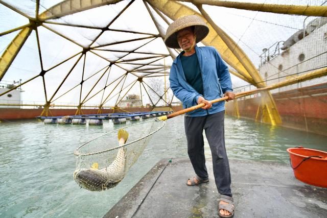 （社会）福建：耕海牧渔 走向深蓝