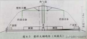 养殖蛋鸡大棚(果园林地生态养鸡：塑料大棚饲养放养鸡投资少见效快)