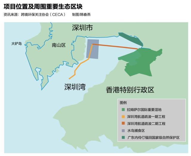 环评报告抄袭、威胁10万水鸟生存 深圳湾新航道引争议