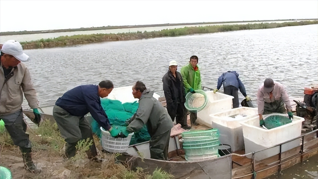 2010年，广东男子花13万进口81吨美国海水，1年后赚得盆满钵满