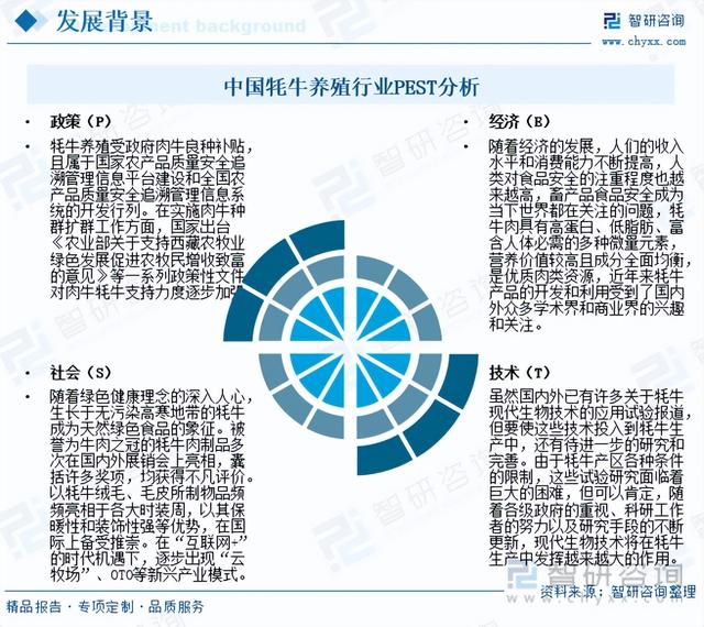 一文浅析2023年中国牦牛养殖现状、优势养殖区域及未来发展前景