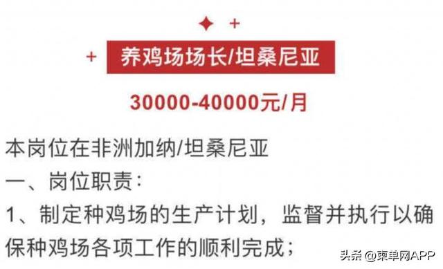 “月薪4万去非洲养鸡”上热搜，来柬埔寨养鸭也能年入50万？