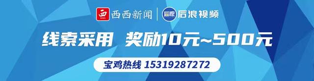 宝鸡市凤县推进特色产业种植 五味子变身致富“金串串”