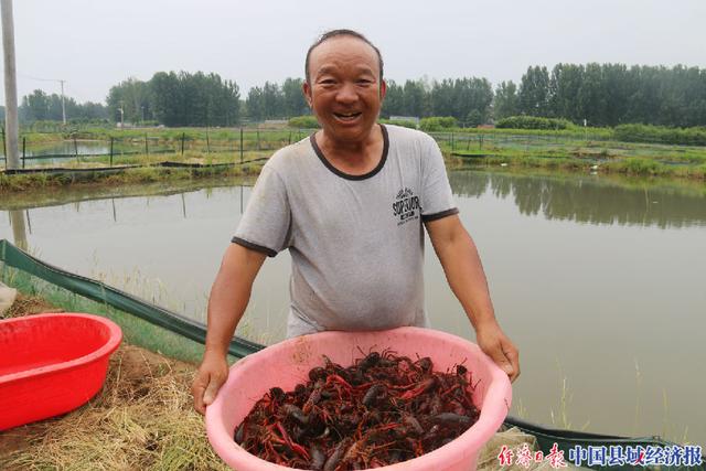 河南南召县：小龙虾带红好日子