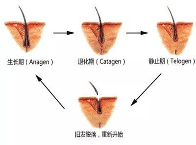 「紧急提醒」2019年最后一波植发省钱指南来了！这些费用全免哦