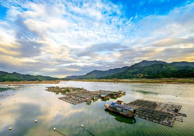 我国海水养殖保险的发展困境和对策建议