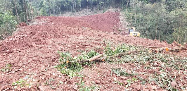 乡村振兴土地整理及中药何首乌的种植技术分享