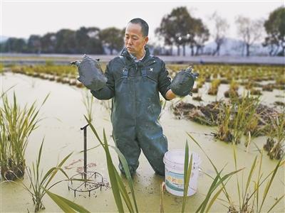 探索水产养殖绿色健康发展之路