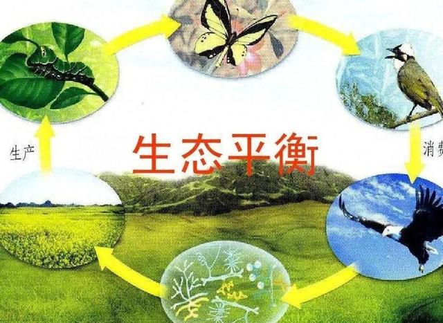 国外广泛种植，但我国大量种植，每年在国外花费50亿元很难消除吗