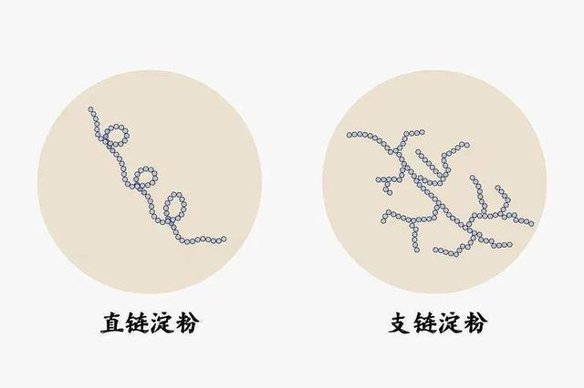 从土壤物质成分到“身世”线索，红缨子糯高粱如何成为酱酒原料？