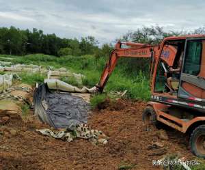 海口牛蛙养殖基地(海南这个地方拆了89个非法牛蛙养殖池)