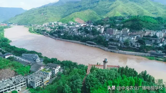 麻羊养殖(【田间示范秀】高招养麻羊 巧法种樱桃)