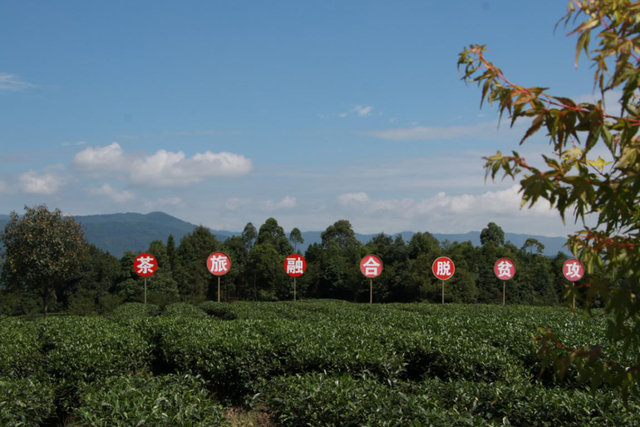 【茶都名山】万古镇沙河村：走上“黄金路” 咱村好致富