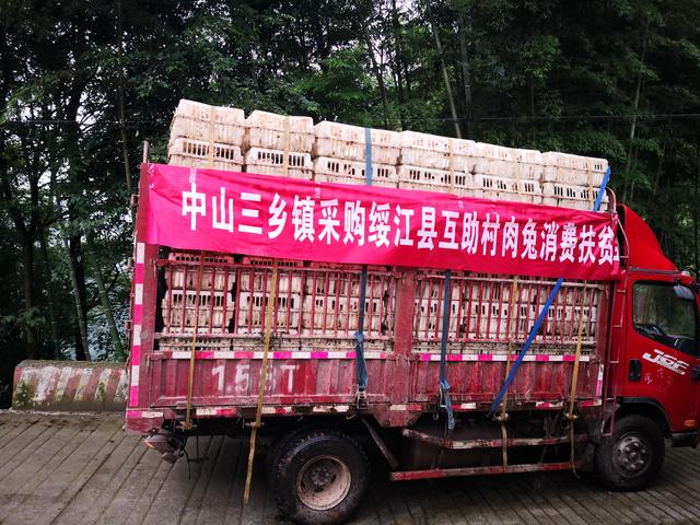 「映像昭通」一车绥江扶贫兔的雨季辗转，有你想象不到的惊心动魄