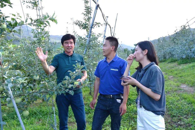 白云深处有人家！贵州这个贫困村，逆袭成了网红村