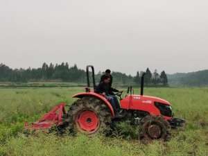 种植山药套管图片(文成田间来了个“大家伙” 农户纷纷竖起大拇指)