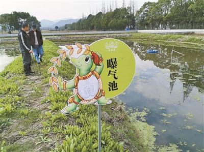 探索水产养殖绿色健康发展之路