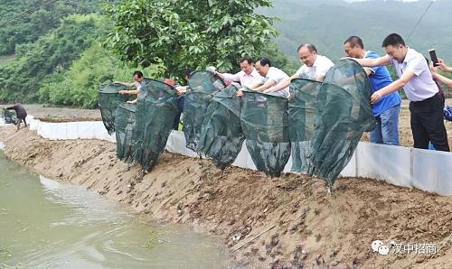 宁强建成陕南首个大闸蟹养殖基地，今后将成立大闸蟹经济合作社