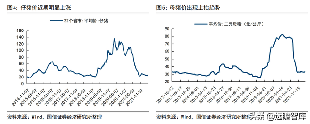 猪周期深度报告：启动周期反转，决胜养殖布局