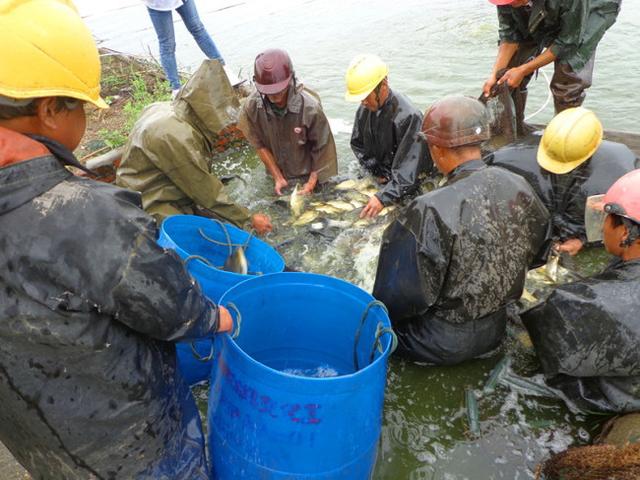 水产养殖户 这些保险，让你的养殖风险降到最低！