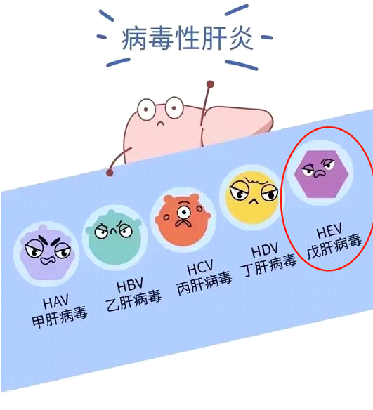 里水戊型肝炎接种专场来啦，免费抗体检测，扫码登记→