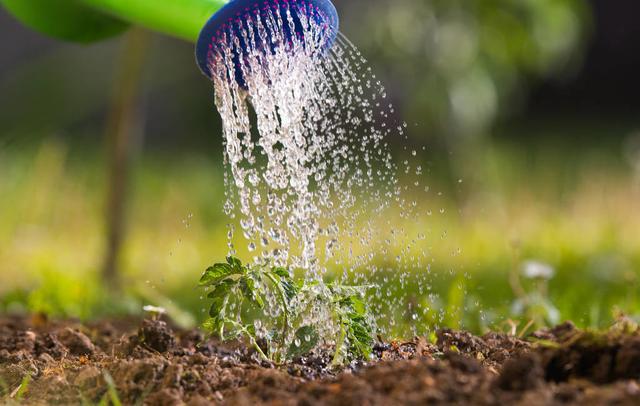 温室大棚蔬菜种植，合理的土、肥、水管理你真的会吗？