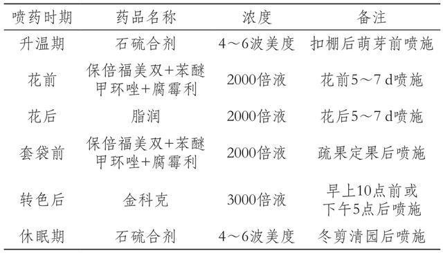 河西走廊红芭拉多葡萄促成栽培关键技术